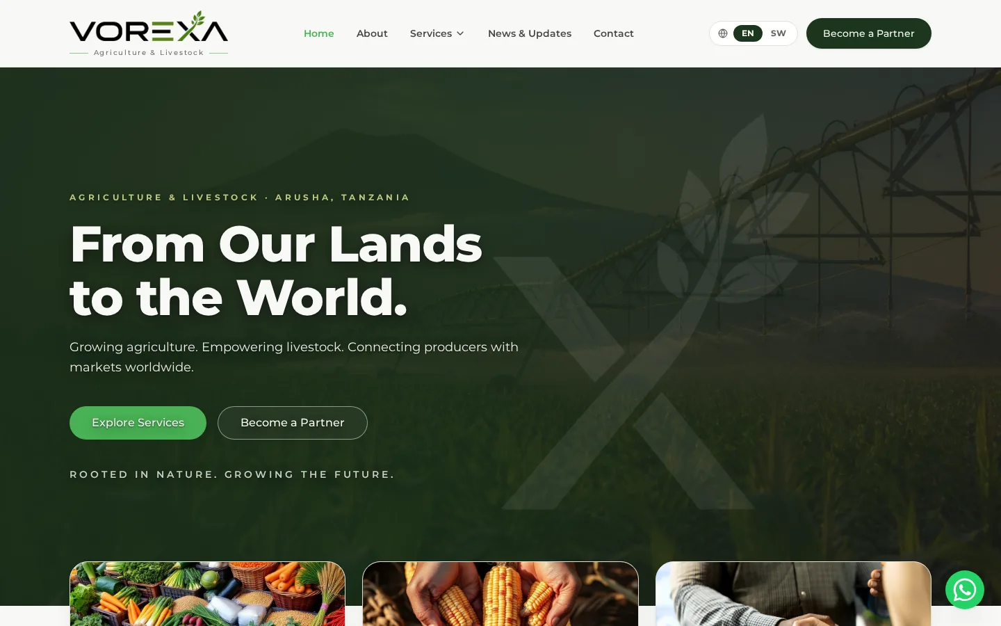 VOREXA website