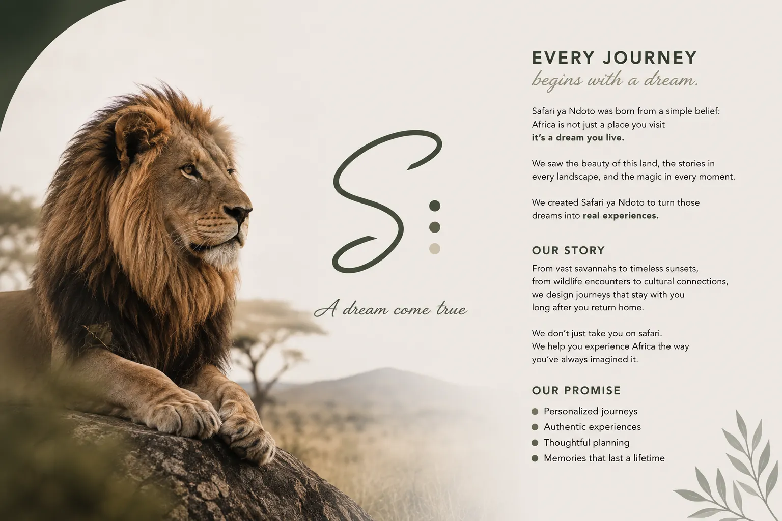 Safari ya Ndoto: Brand Story