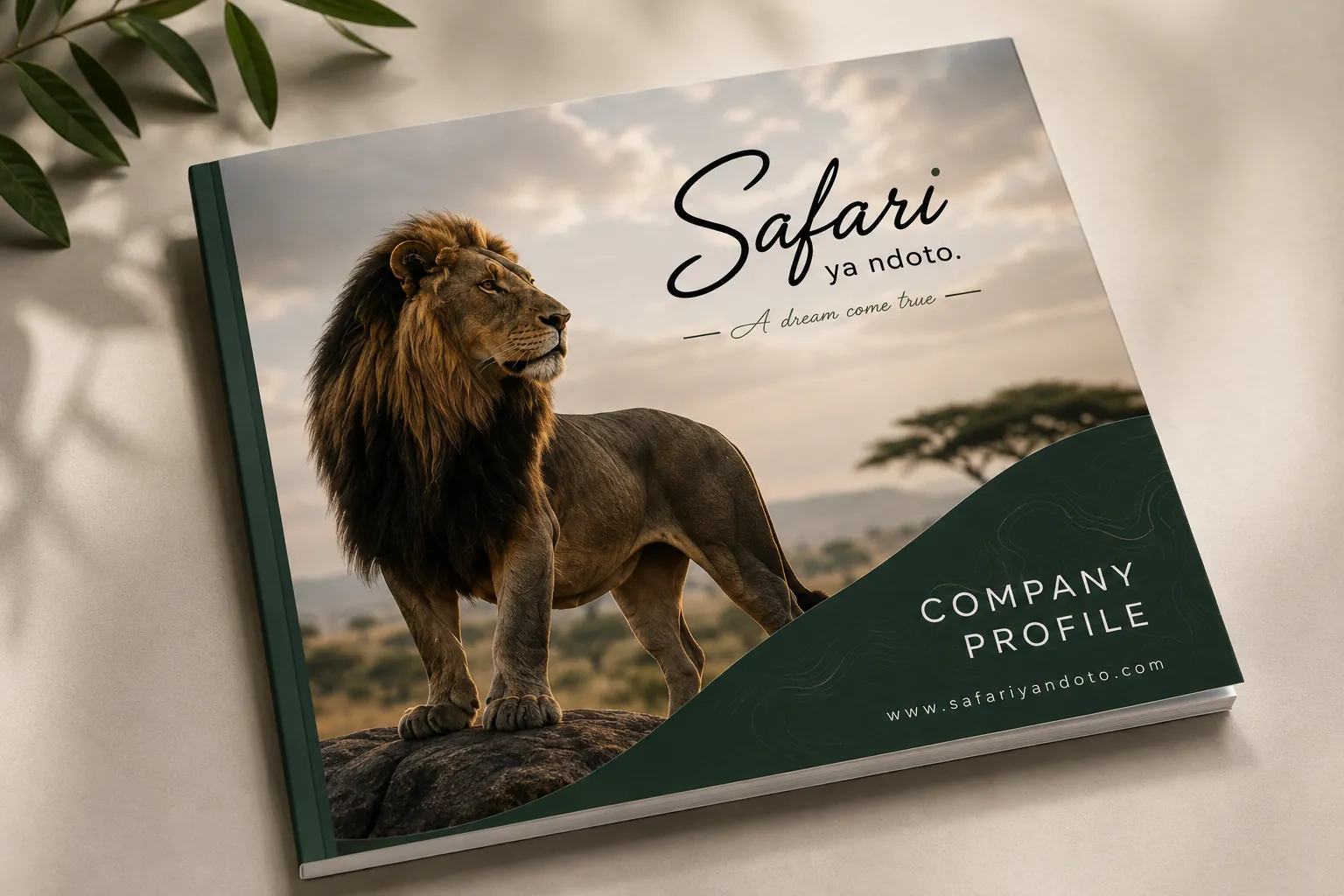 Safari ya Ndoto: Company Profile