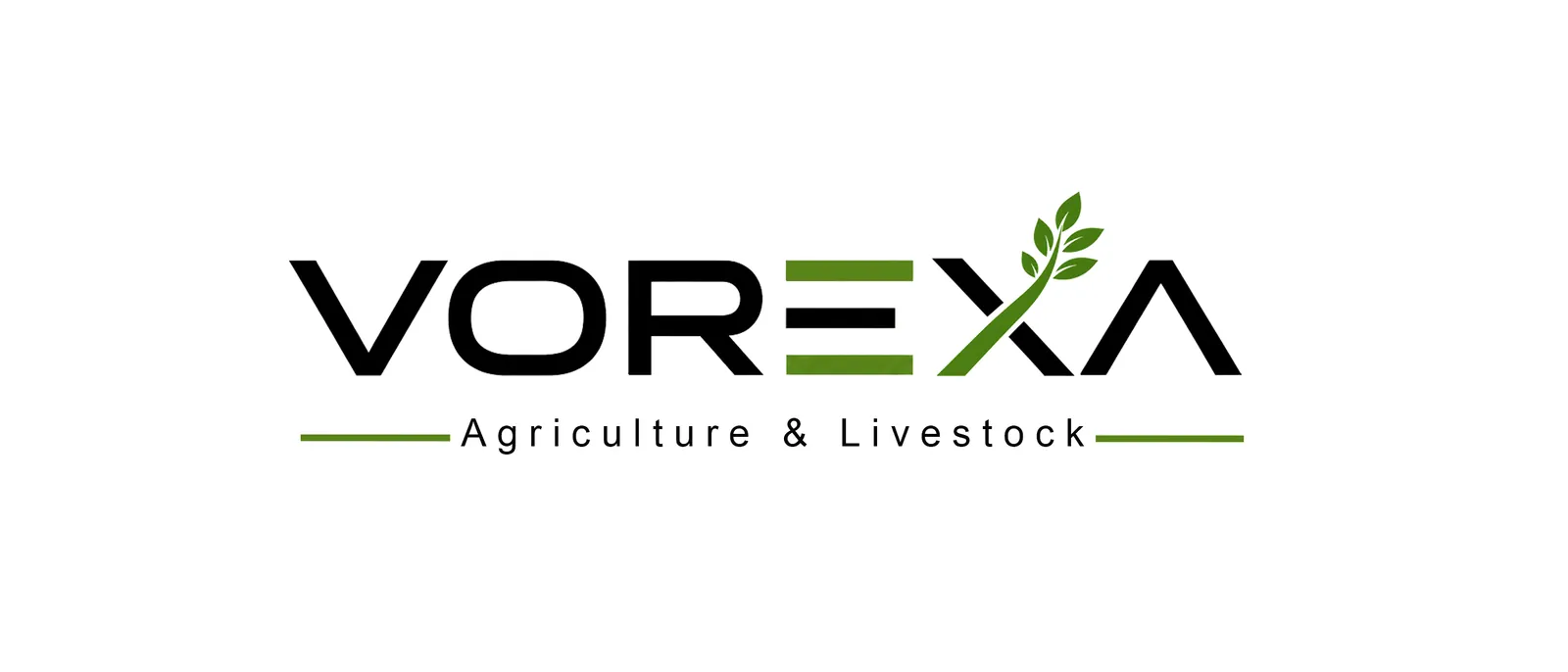 VOREXA: Full Logo