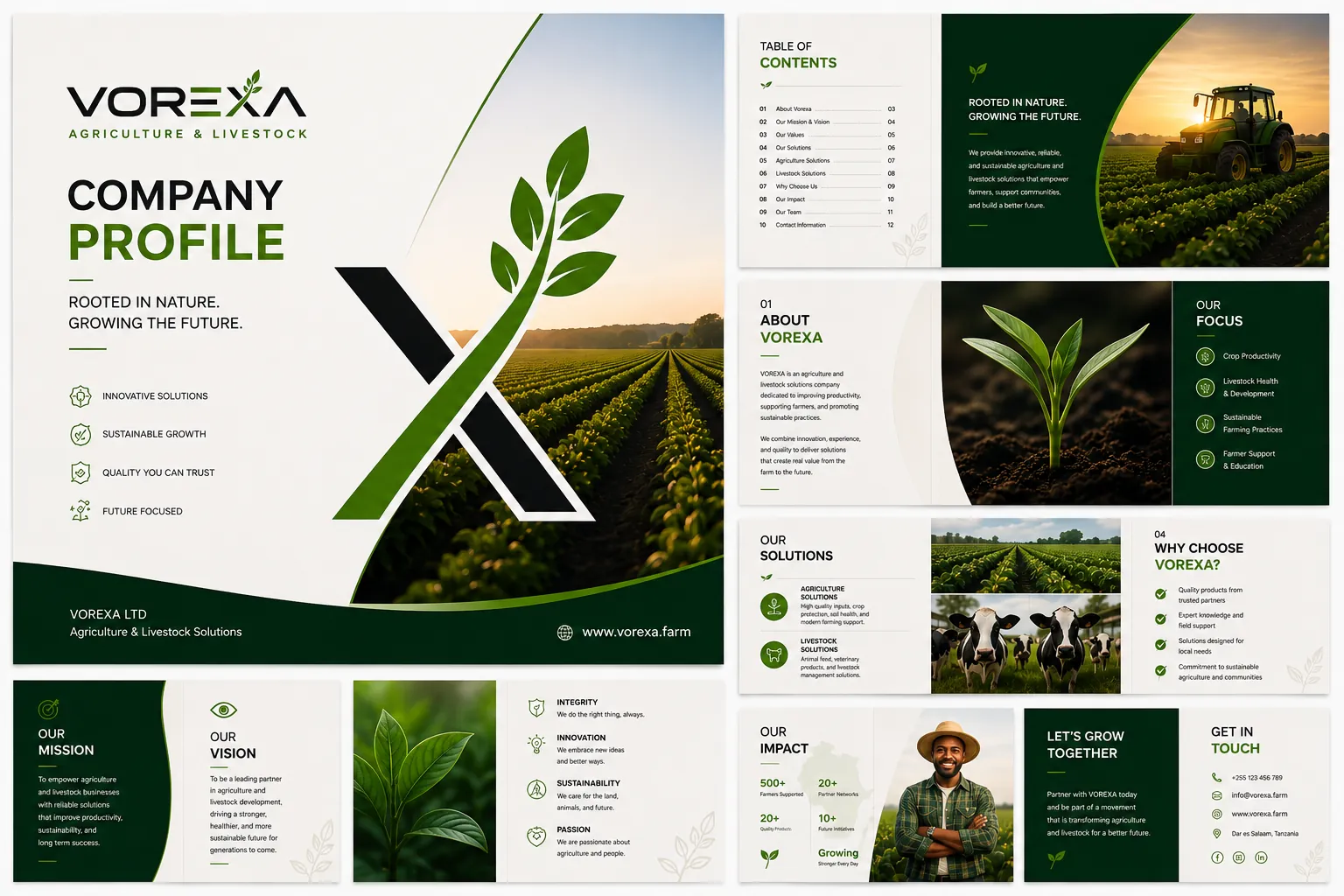 VOREXA: Company Profile